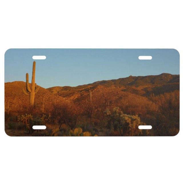 Saguaro Sunset I Arizona Desert Landscape License Plate (Front)