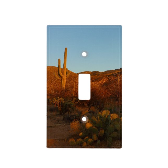 Saguaro Sunset I Arizona Desert Landscape Light Switch Cover (Front)