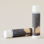 Saguaro Sunset I Arizona Desert Landscape Lip Balm