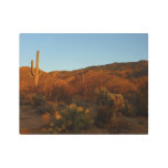 Saguaro Sunset I Arizona Desert Landscape Metal Print