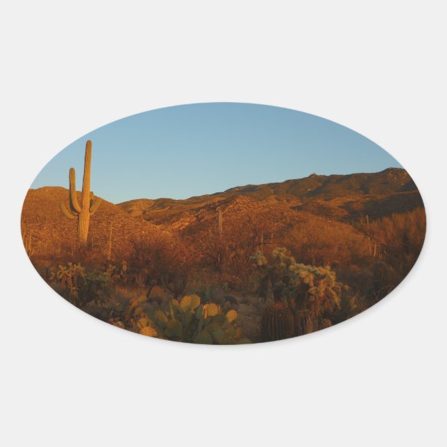 Saguaro Sunset I Arizona Desert Landscape Oval Sticker (Front)
