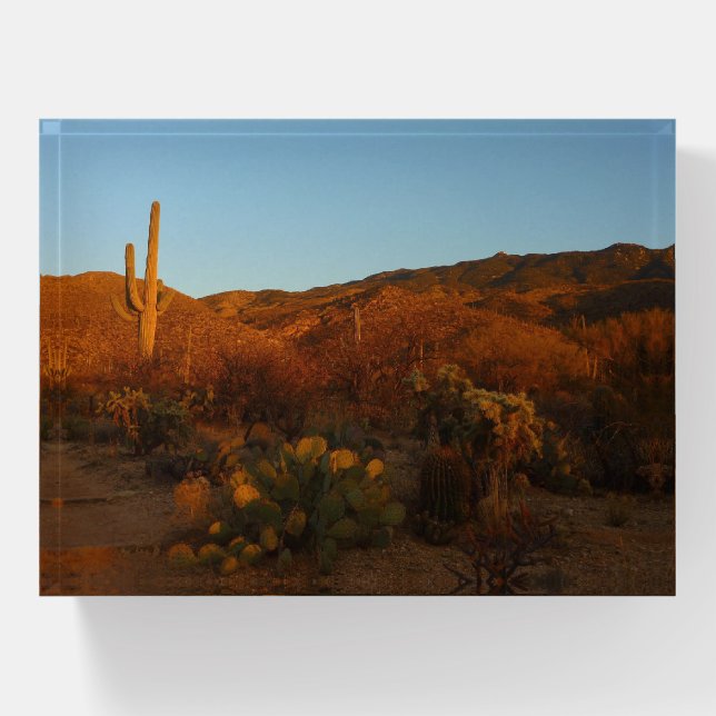 Saguaro Sunset I Arizona Desert Landscape Paperweight (Front)