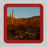 Saguaro Sunset I Arizona Desert Landscape Patch