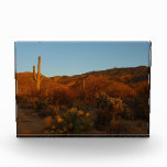 Saguaro Sunset I Arizona Desert Landscape Photo Block