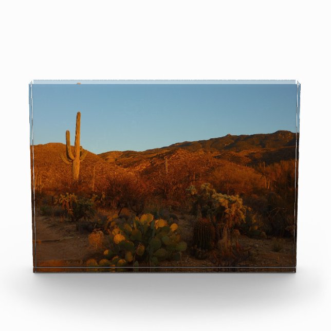Saguaro Sunset I Arizona Desert Landscape Photo Block (Front)