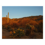 Saguaro Sunset I Arizona Desert Landscape Photo Print