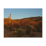 Saguaro Sunset I Arizona Desert Landscape Postcard