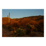 Saguaro Sunset I Arizona Desert Landscape Poster