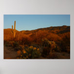 Saguaro Sunset I Arizona Desert Landscape Poster