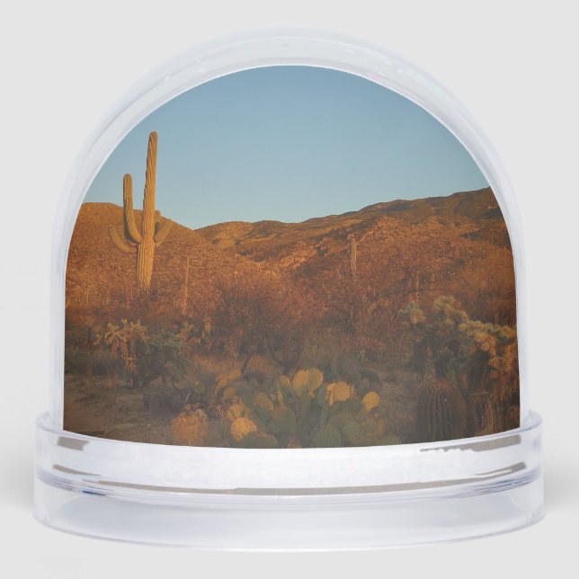 Saguaro Sunset I Arizona Desert Landscape Snow Globe (Front)