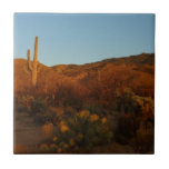 Saguaro Sunset I Arizona Desert Landscape Tile
