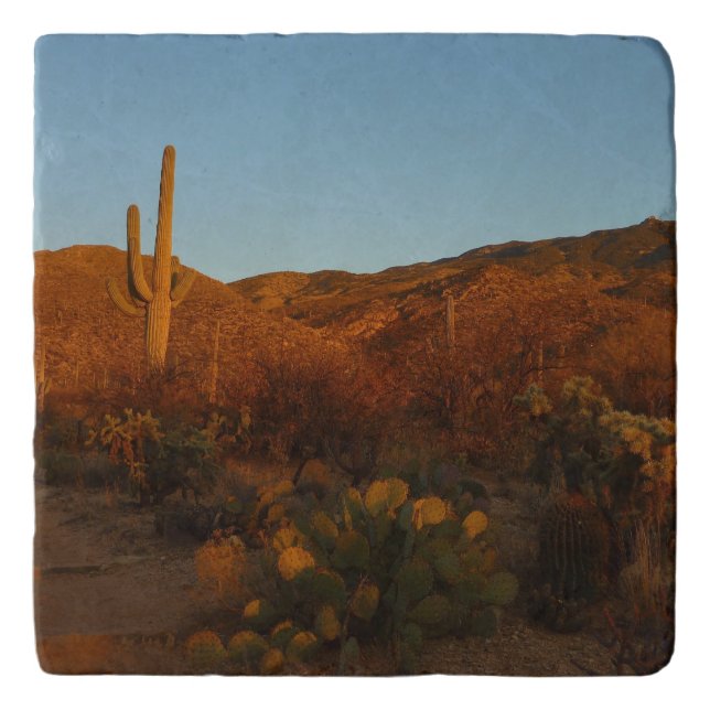 Saguaro Sunset I Arizona Desert Landscape Trivet (Front)