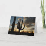 Saguaro Sunset II Arizona Desert Landscape Card