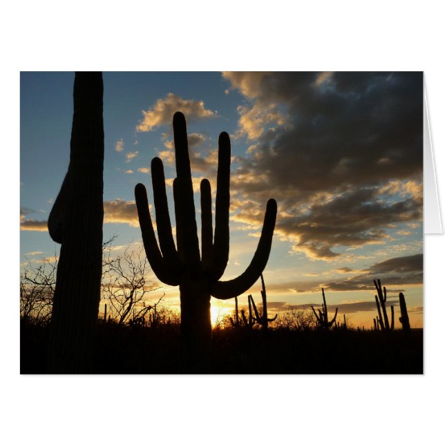 Saguaro Sunset II Arizona Desert Landscape Card (Front Horizontal)