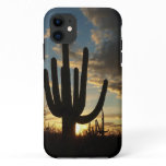 Saguaro Sunset II Arizona Desert Landscape iPhone 11 Case