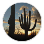 Saguaro Sunset II Arizona Desert Landscape Ceramic Knob