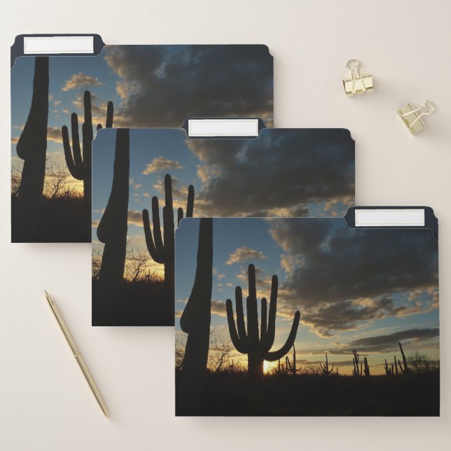 Saguaro Sunset II Arizona Desert Landscape File Folder (Set)