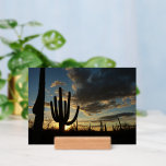 Saguaro Sunset II Arizona Desert Landscape Holder