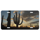 Saguaro Sunset II Arizona Desert Landscape License Plate