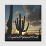 Saguaro Sunset II Arizona Desert Landscape Magnet