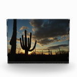 Saguaro Sunset II Arizona Desert Landscape Photo Block