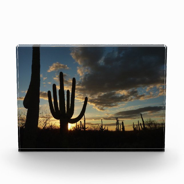 Saguaro Sunset II Arizona Desert Landscape Photo Block (Front)