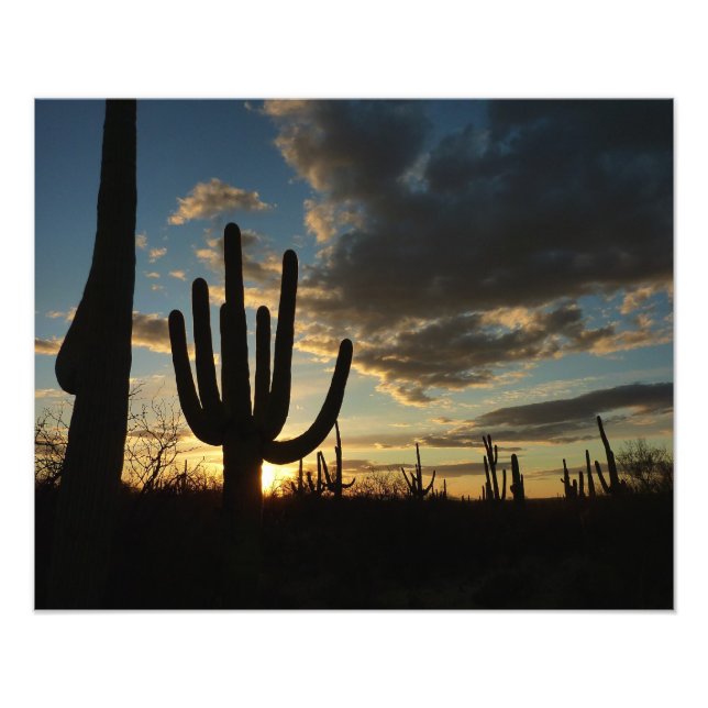 Saguaro Sunset II Arizona Desert Landscape Photo Print (Front)