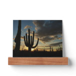 Saguaro Sunset II Arizona Desert Landscape Picture Ledge