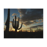 Saguaro Sunset II Arizona Desert Landscape Postcard