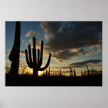 Saguaro Sunset II Arizona Desert Landscape Poster