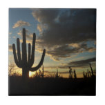 Saguaro Sunset II Arizona Desert Landscape Tile