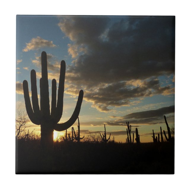 Saguaro Sunset II Arizona Desert Landscape Tile (Front)
