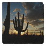 Saguaro Sunset II Arizona Desert Landscape Trivet
