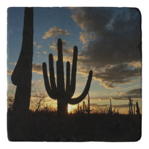 Saguaro Sunset II Arizona Desert Landscape Trivet