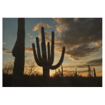 Saguaro Sunset II Arizona Desert Landscape Wood Poster