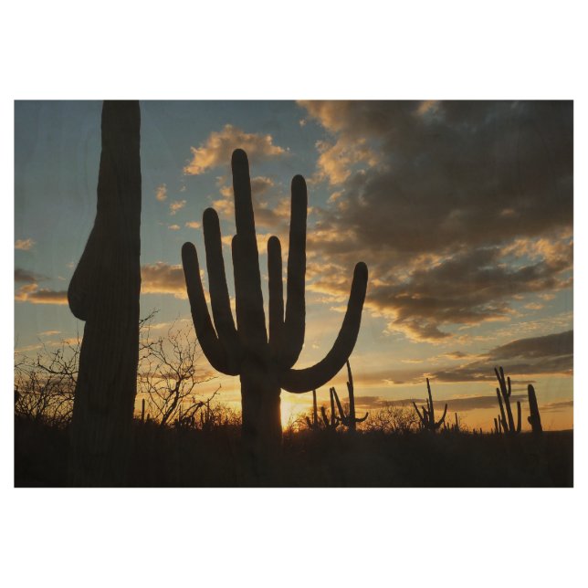 Saguaro Sunset II Arizona Desert Landscape Wood Poster (Front)