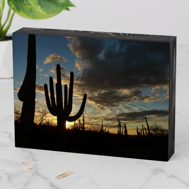 Saguaro Sunset II Arizona Desert Landscape Wooden Box Sign (In Situ Horizontal)
