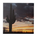 Saguaro Sunset III Arizona Desert Landscape Ceramic Tile