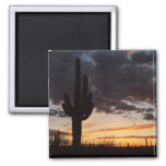 Saguaro Sunset III Arizona Desert Landscape Magnet