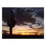 Saguaro Sunset III Arizona Desert Landscape Photo Print