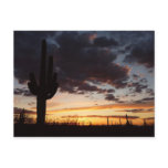 Saguaro Sunset III Arizona Desert Landscape Postcard