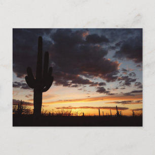 Saguaro Sunset III Arizona Desert Landscape Postcard