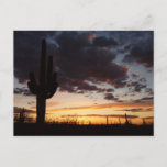 Saguaro Sunset III Arizona Desert Landscape Postcard