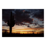 Saguaro Sunset III Arizona Desert Landscape Poster