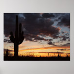 Saguaro Sunset III Arizona Desert Landscape Poster