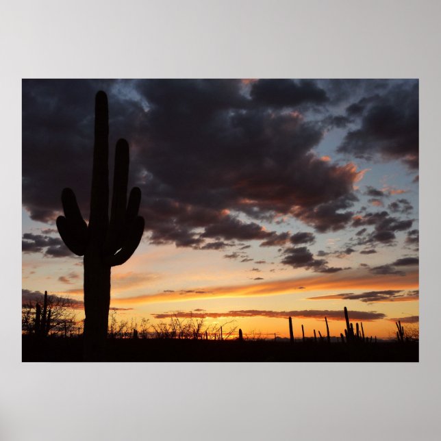 Saguaro Sunset III Arizona Desert Landscape Poster (Front)
