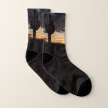 Saguaro Sunset III Arizona Desert Landscape Socks