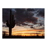 Saguaro Sunset III Arizona Landscape Poster