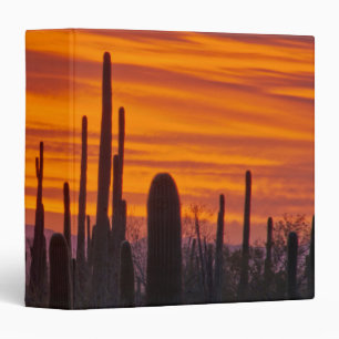 Saguaro, sunset, Saguaro National Park 3 Ring Binder