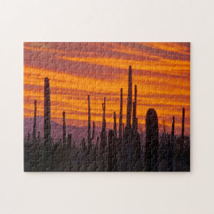 Saguaro, sunset, Saguaro National Park Jigsaw Puzzle